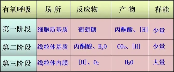 高中生物 细胞呼吸重难点专题 高考趋势 善利名师 官方网站 高考智能备考