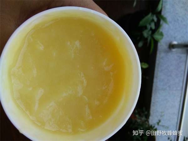 怎么辨别真假蜂王浆?