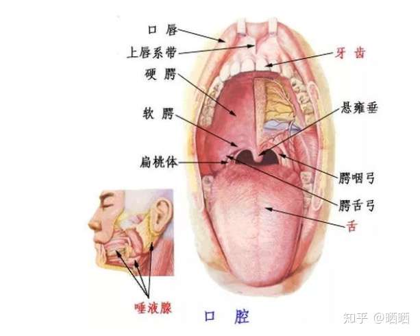 我的声音不好听,像男生的声音,有什么方法能让声音变好听?