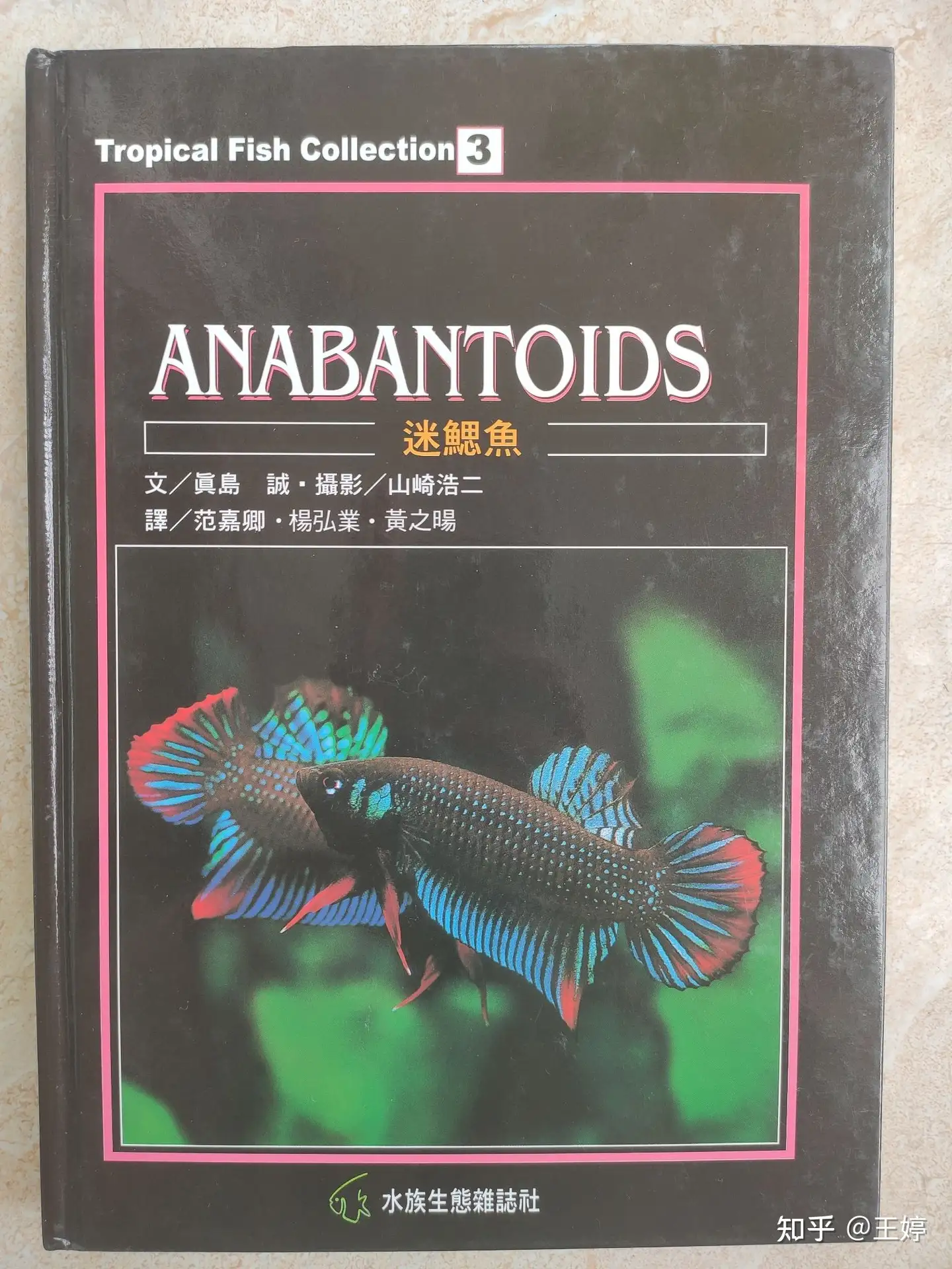 イワナ特集】淡水魚保護協会機関誌「淡水魚」増刊 / 古本、中古