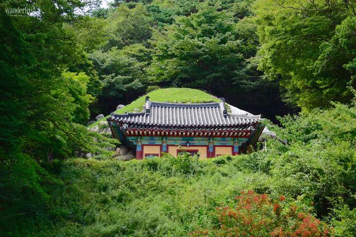 韩国料理怎么做(传统韩国料理是怎么样的)插图(10) 韩国料理怎么做(传统韩国料理是怎么样的)插图(10)