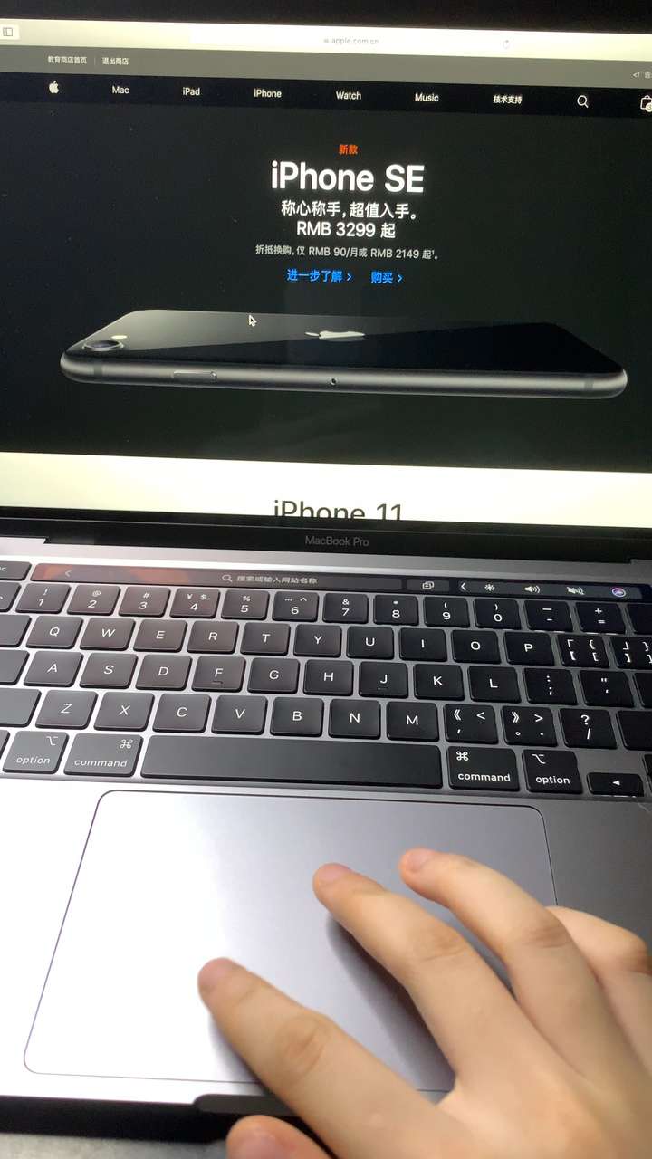 求助macbookpro2020縮放手勢問題