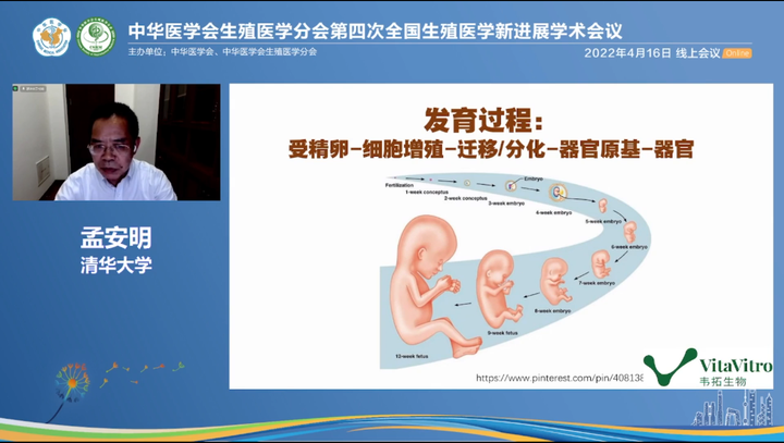 图片[3]-孟安明《极体在胚胎发育中的作用》学术交流PPT截图-墨铺