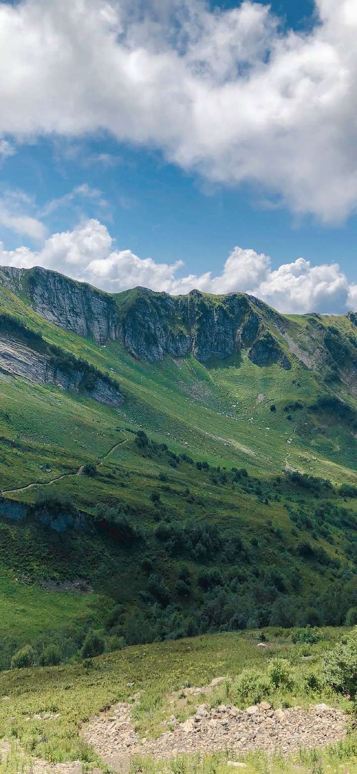 有没有很阳光,清新绿色,自然让人心情好的风景壁纸?