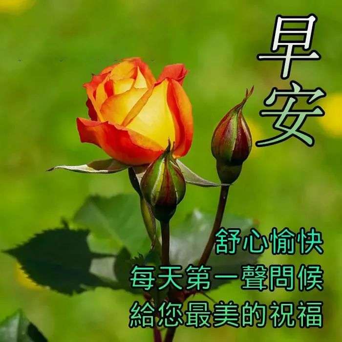 6月9日清晨早上好祝福语录图片 知乎