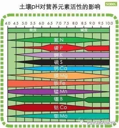 深入解析土壤ph值 知乎