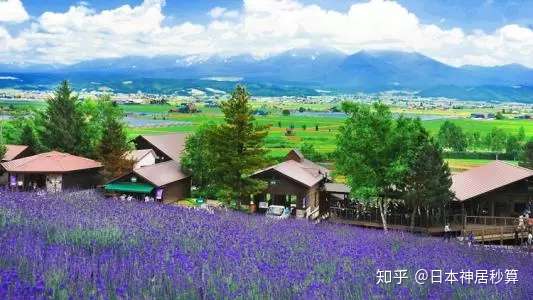 夏季去北海道不能看雪 那还有什么好看的 知乎