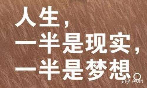 《梦想照进现实》一半是现实,一半是梦想.