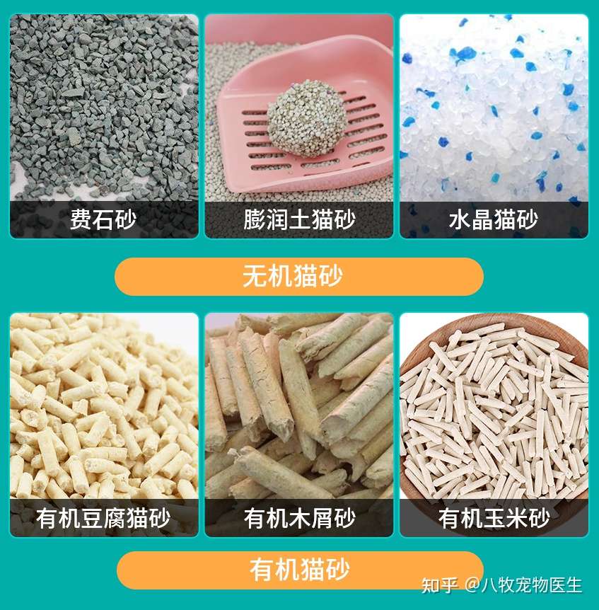 猫砂用不对相当于在慢性谋杀 知乎