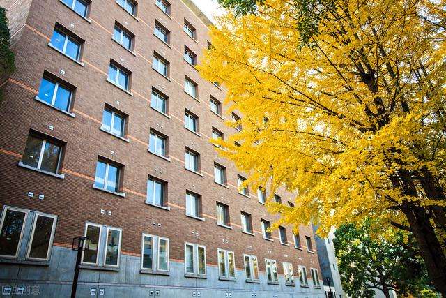 名校推荐 亚洲的麻省理工大学 东京工业大学 知乎