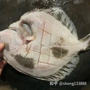 清蒸多宝鱼简单美味营养适合夏天快速搞定