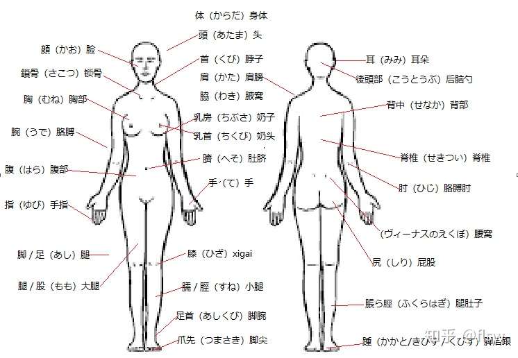 日语 身体部位相关 知乎