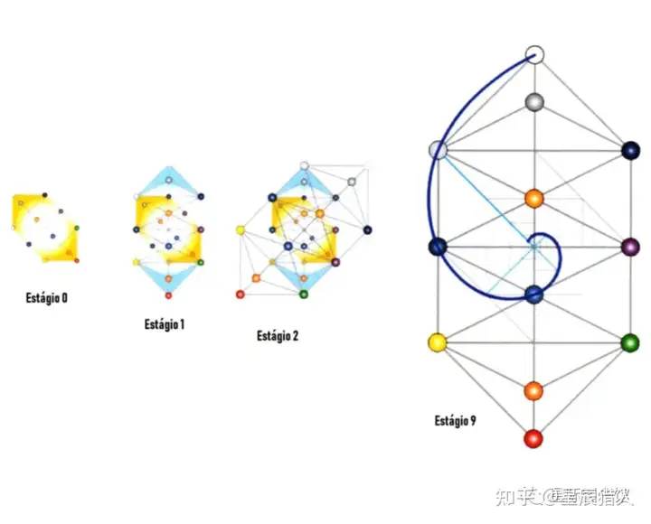 死亡之花和生命之花的区别(图17)