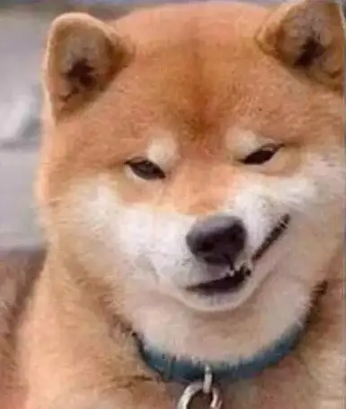 有什么贱萌柴犬的头像吗? - 知乎