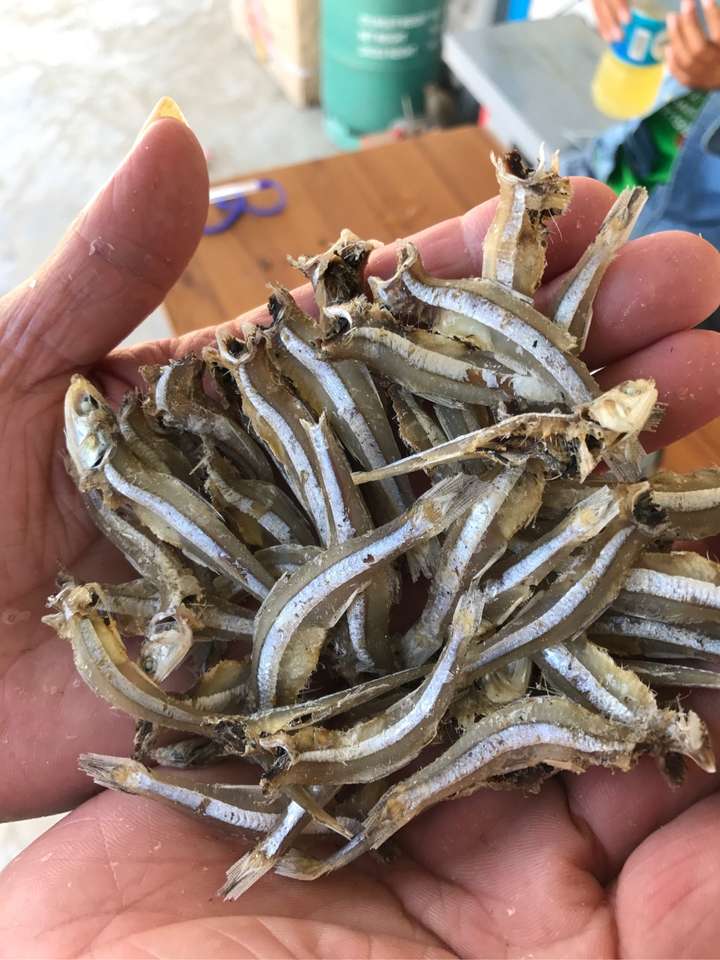 公干鱼,就是中华侧带小公鱼.