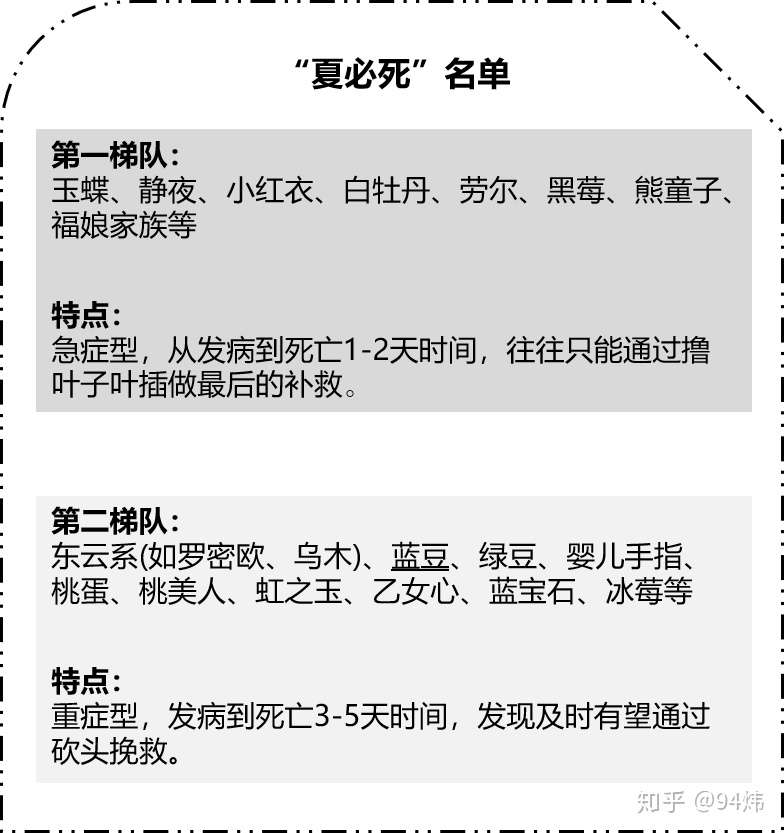 技巧篇 超强 多肉度夏指南 来袭 请查收 知乎