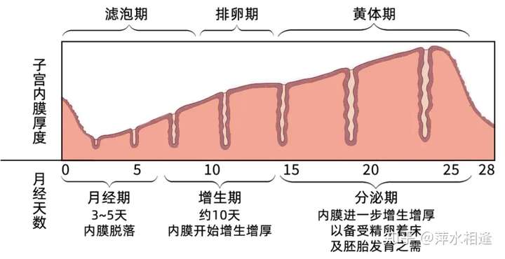 內膜不均一定要做宮腔鏡嗎