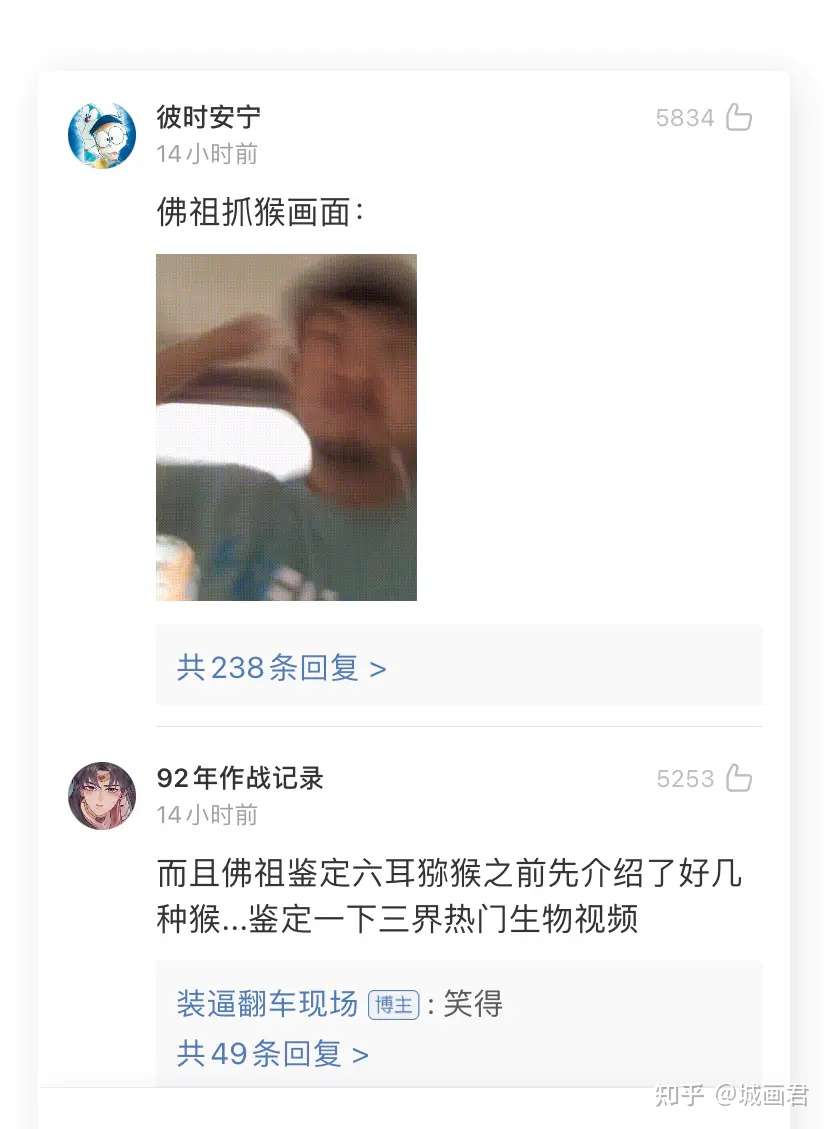 哈哈哈哈哈哈这是全互联网最好笑的动物 知乎