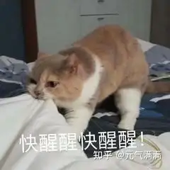 飞机杯和手冲对身体关于飞机杯和倒模的那些你不知道的知识
