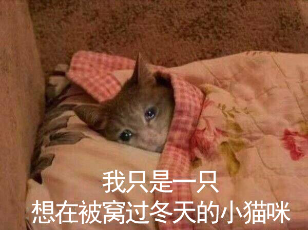 2020-2021年的网络沙雕文案句子搞笑:摩天轮就像个花圈插图5 2020-2021年的网络沙雕文案句子搞笑:摩天轮就像个花圈插图5