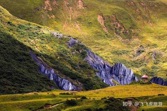 这是营销还是意外 四川多个景区 免门票 知乎