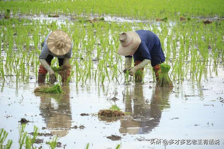 图片[2]-农民和下岗工人的区别，一文说清-乐学小窝
