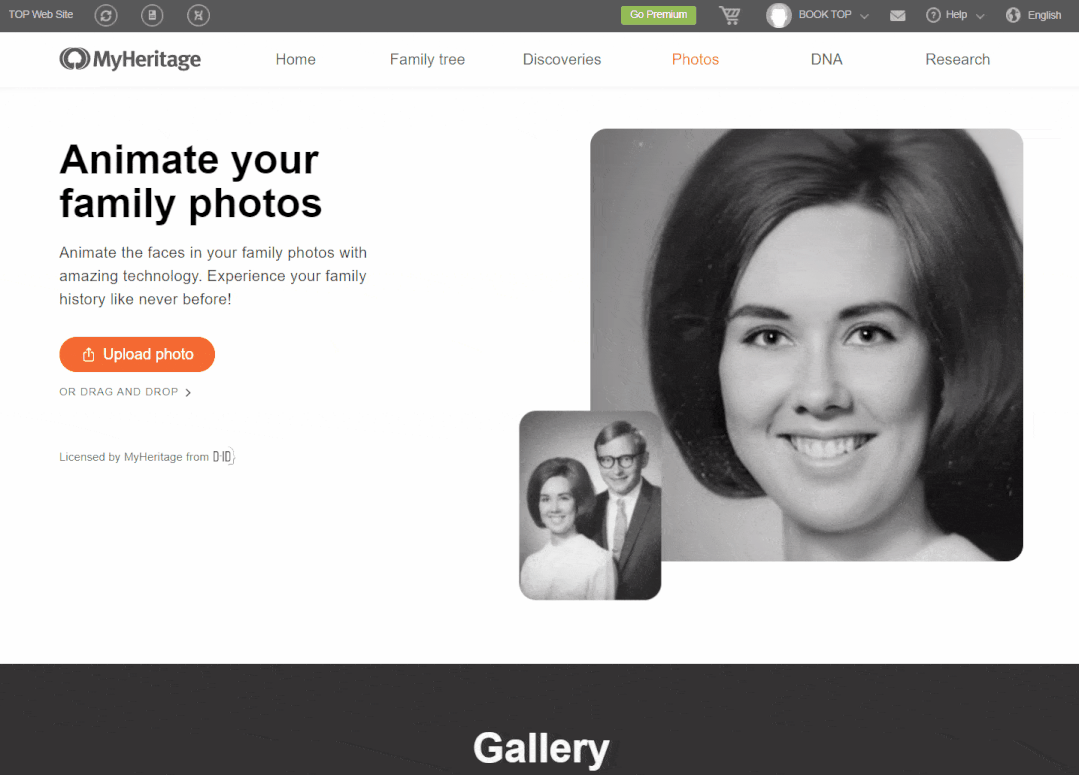 Deep Nostalgia -  让老照片动起来|World资源社区