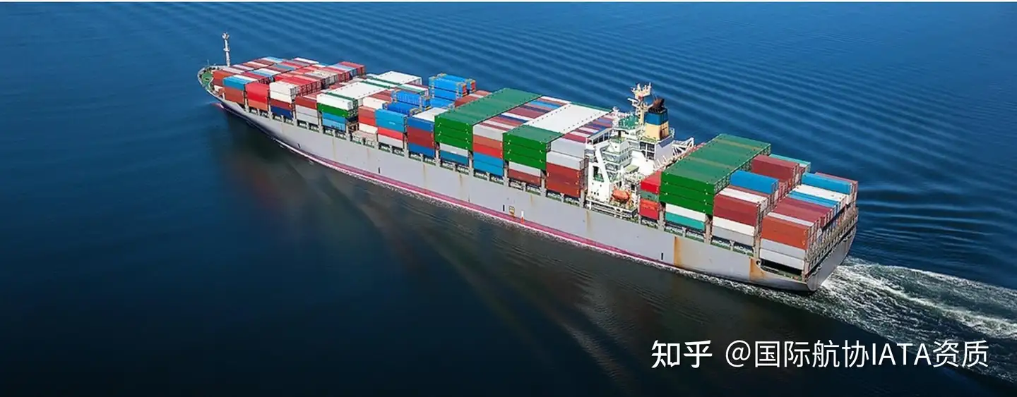 重磅国际货运代理企业备案方式公示 知乎