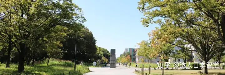 达人日本,日本留学