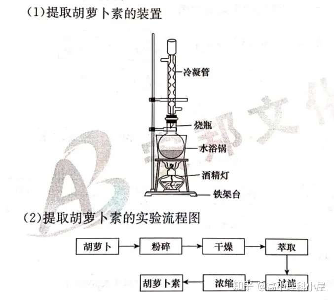 高考理科生物选修一相关知识点 知乎