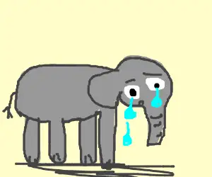 有哪些已经被人类灭绝的动物