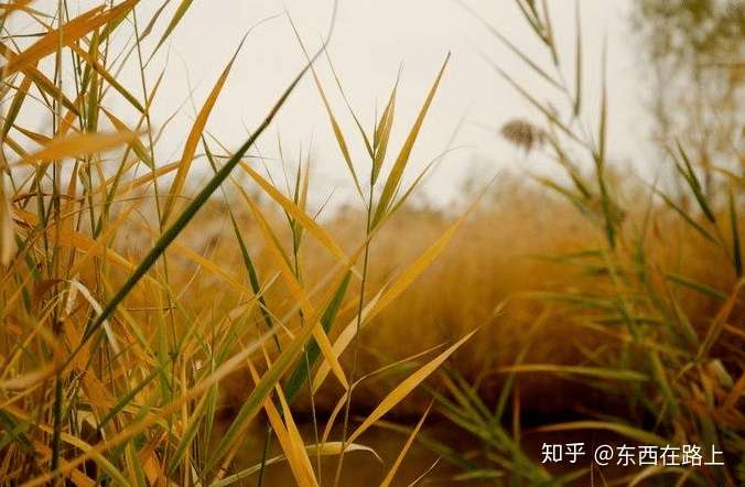 最好的期货交易方法