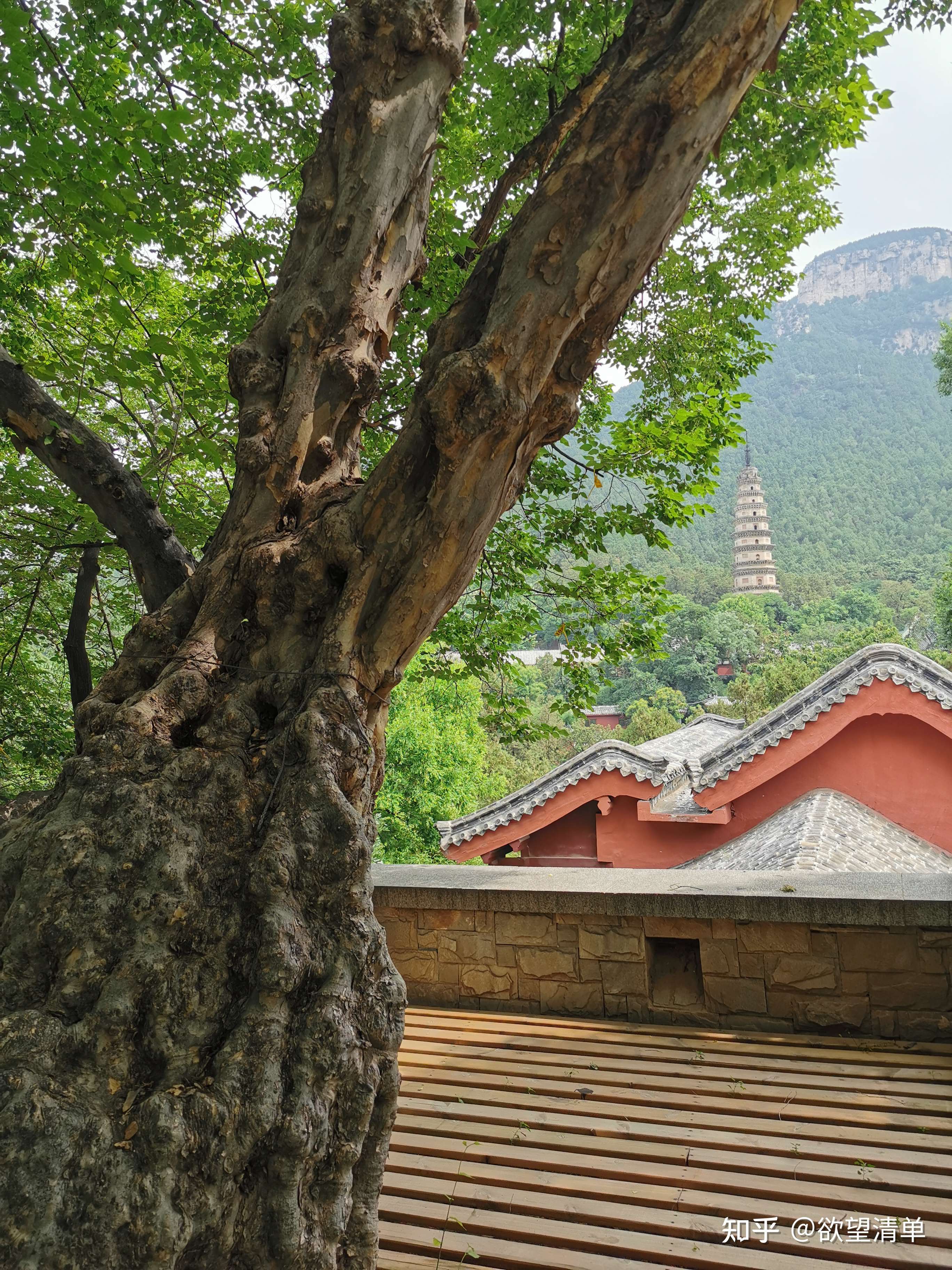 慾望清單 的想法: 長清大靈巖寺是我國北方最大的禪寺,特殊… - 知乎