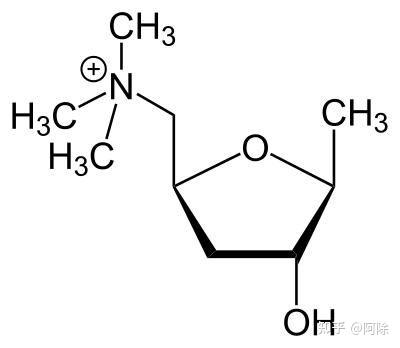 請問乙酰膽鹼和毒蕈鹼尼古丁的結構是不是類似?