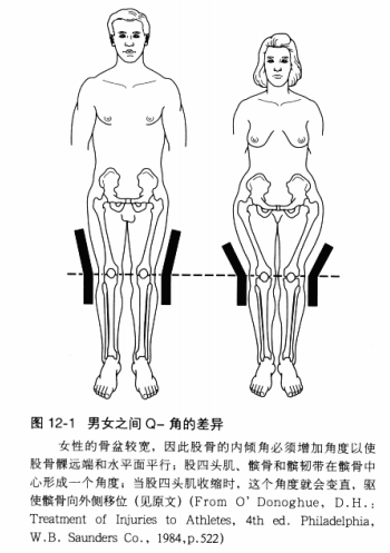 求说明xo型腿成型原理,骨骼具体的扭转方向?