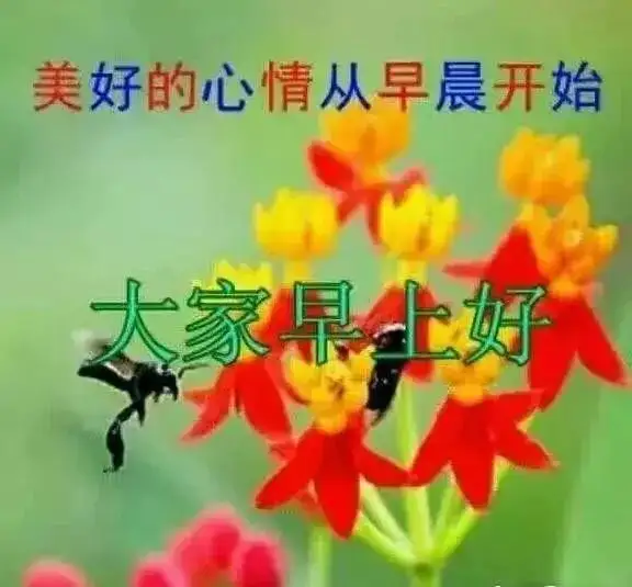 2021早上好问候表情图片大全 最新好漂亮的早安问候带图片