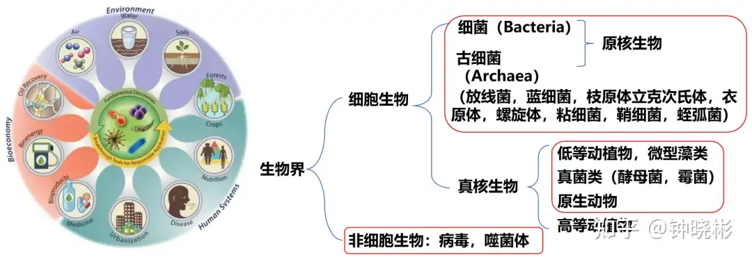 微生物-蛋白-代谢多组学整体解决方案- 知乎