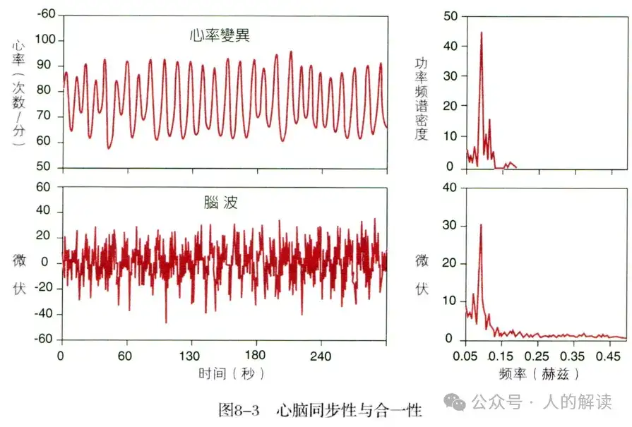 神奇的心脑同步性，合一的奥秘远超想象-人的解读