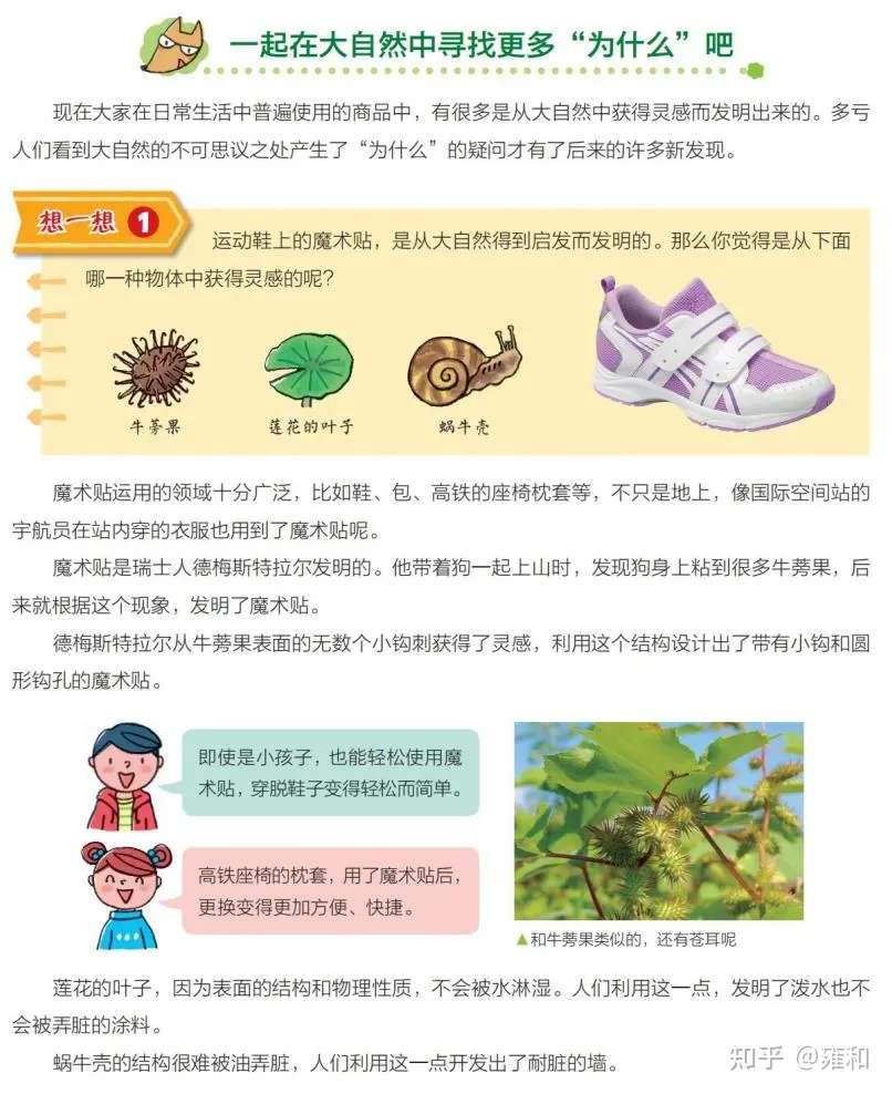 这套书不鸡血 不硬背 却能让孩子学会思考 锻炼科学思维 知乎