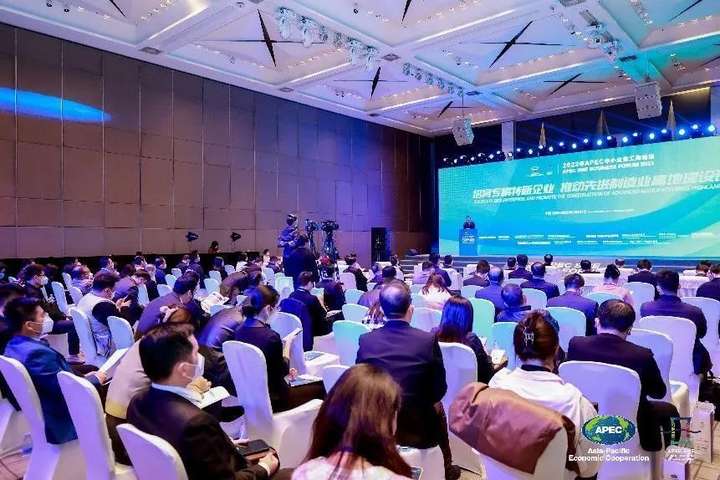 金蝶受邀出席2022年亚太经合组织（APEC）中小企业工商论坛