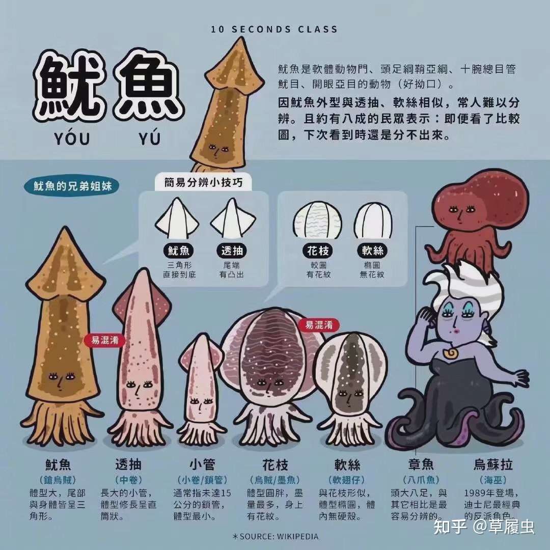 墨鱼公母有啥区别图片图片