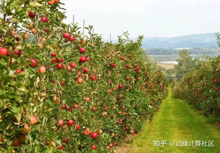 快来看(5g和生活的关系)5g网络时代,会带来哪些变化,5G的意义与互联网新秩序, 快来看(5g和生活的关系)5g网络时代,会带来哪些变化,5G的意义与互联网新秩序,