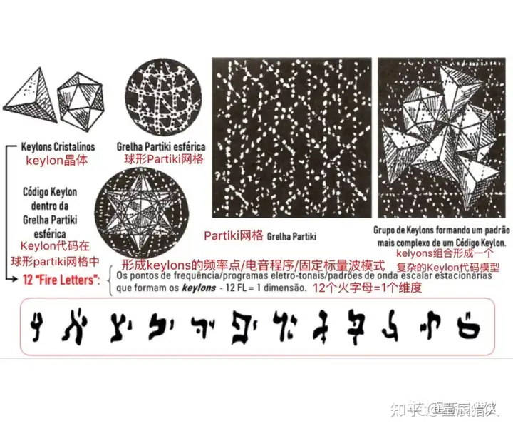 死亡之花和生命之花的区别(图36)
