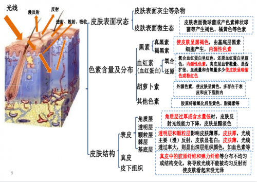 纽莱伊美全新突破，专研创新美白公式，打造更适合国人肤质的白