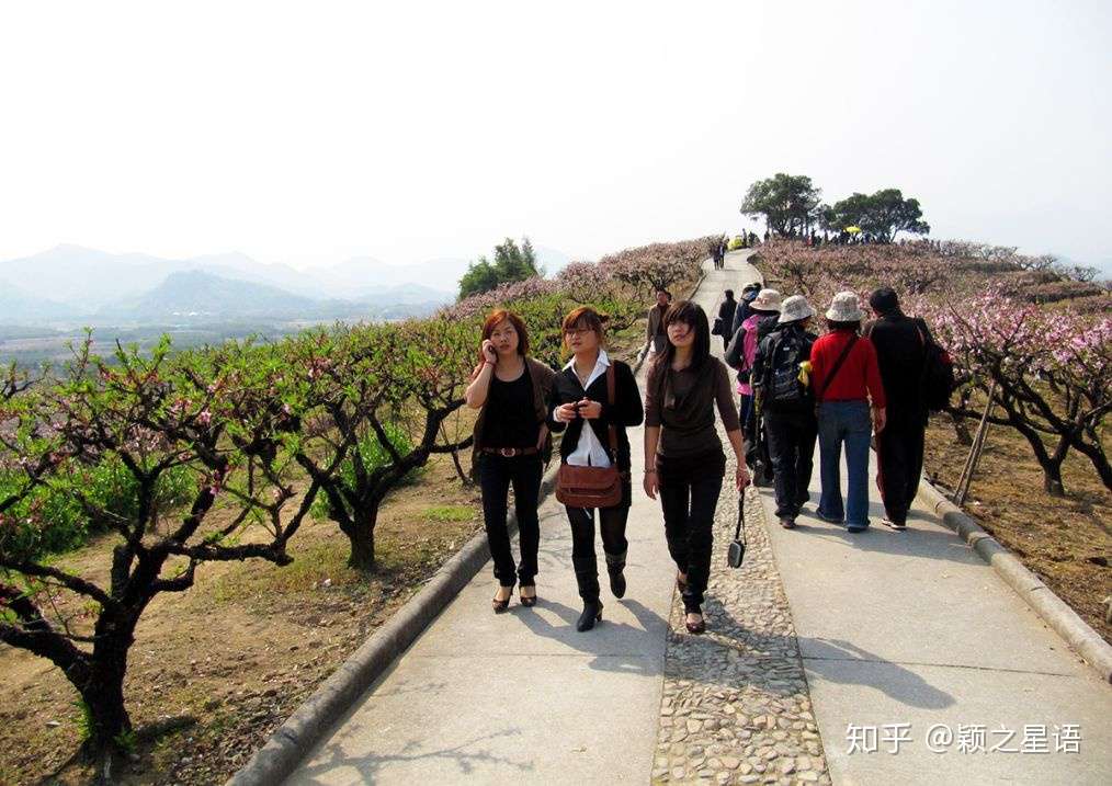 天下桃花在奉化 奉化桃花在林家 三顾天下第一桃园 知乎