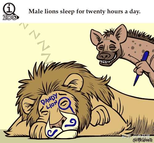 太有趣了 你知道这24个动物冷知识吗 知乎