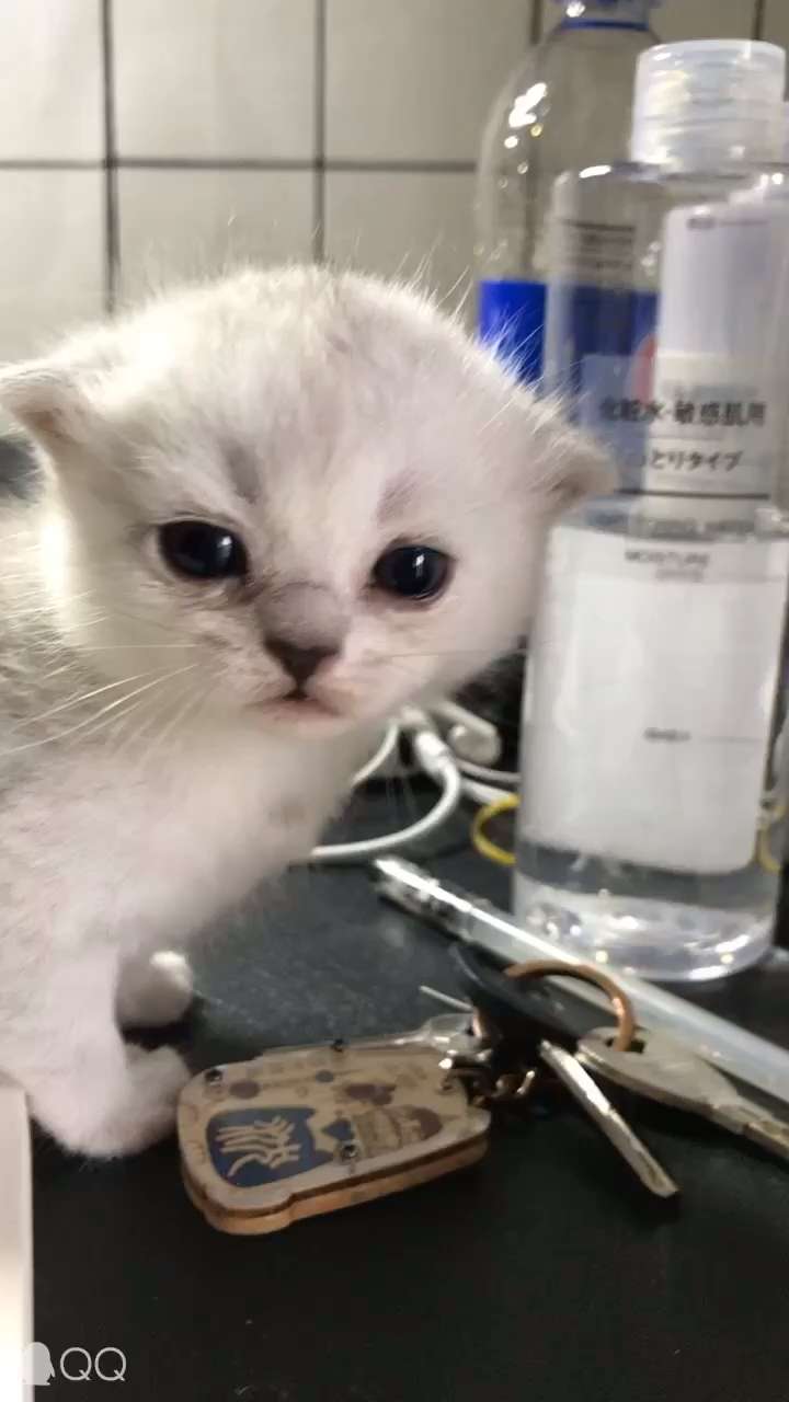 v2-ec7b6cd2c4760eb8fb412ca9d04a6fc3_720w.jpg?source=1940ef5c