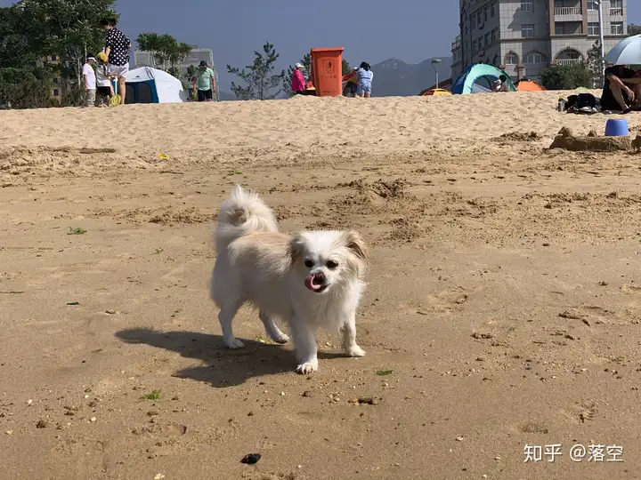 如何评价威海这个城市？
