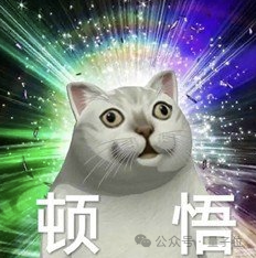 稚晖君，昨夜冲进了科创板