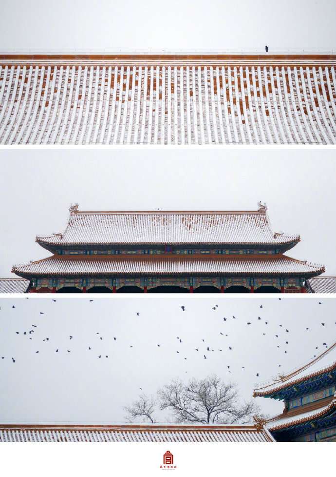 落雪时 给你一个 美 上热搜的紫禁城 知乎